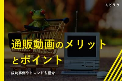 通販動画を活用するメリットと制作のポイント！成功事例やトレンドも紹介