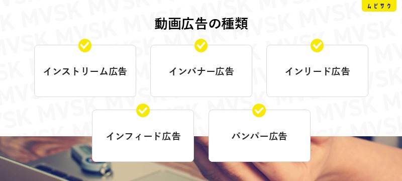 動画広告の種類