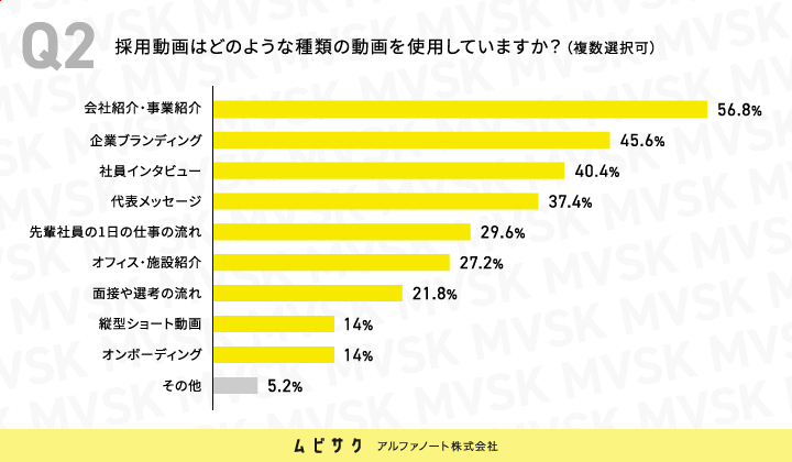 採用動画はどのような種類の動画を使用していますか？